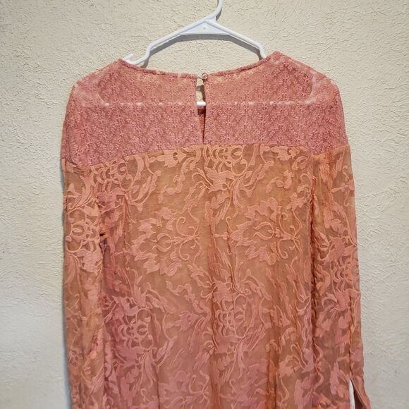 Sundance Womens Embroidered Trellis Dress Sz 8 Pink 100% Silk Sheer Boho Shift - Picture 9 of 10